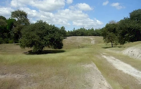 LAND NEAR PLAYA CORONA