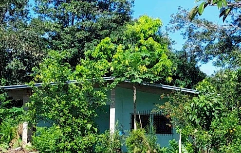 Venta de terreno en Cochea, Chiriquí