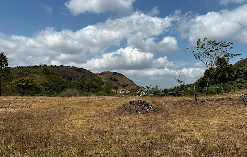 TERRENO EN VENTA EN EL ENCANTO, PENONOMÉ