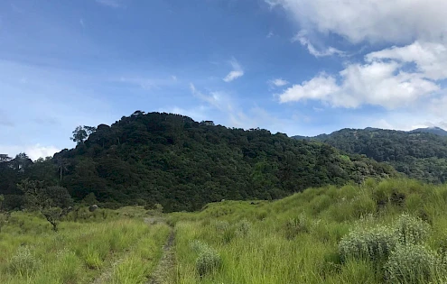 TERRENO PLANO SERENO EN VENTA CON VISTAS A LA MONTAÑA