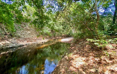 FINCA RIO LAJAS – 3 HECTARES