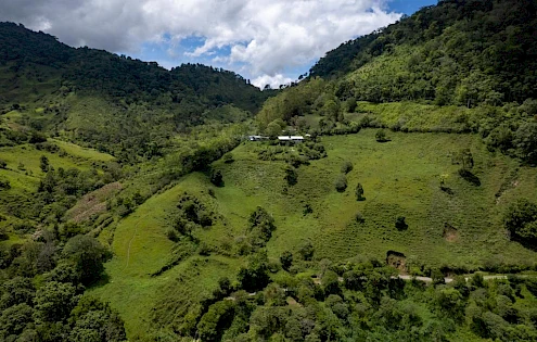 La Riqueza de la Naturaleza en Volcán Chiriquí