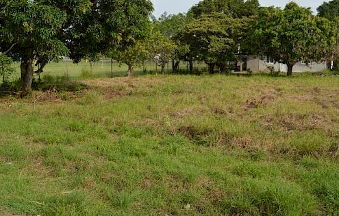 Lot for rent close to Gorgona Mall