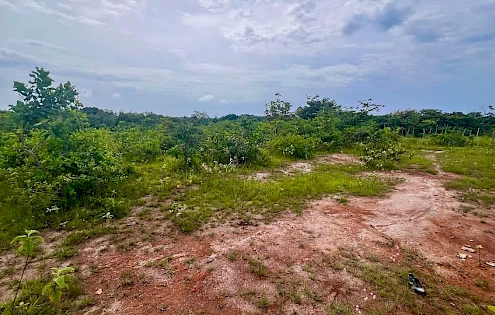 ESTATE ON THE OUTSKIRTS OF RIO HAto