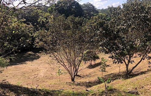 Land for sale in El Nazareno, La Chorrera