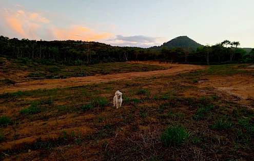 Venta de Lote en Penonomé