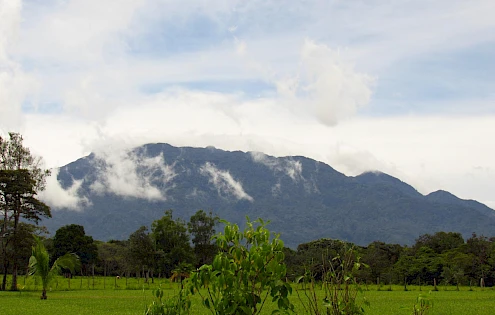 Lote de terreno en venta en Potrerillos Arriba