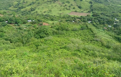 5.9 Hectare Farm for Sale in La Pintada