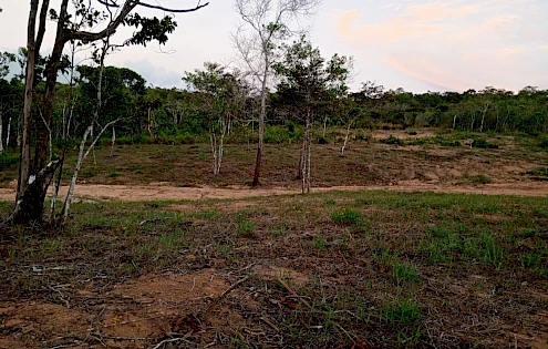 Lot for sale in Penonomé