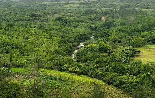 5-hectare lot in Nansal, Penonomé, Coclé