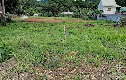 Venta de Finca en La Chorrera