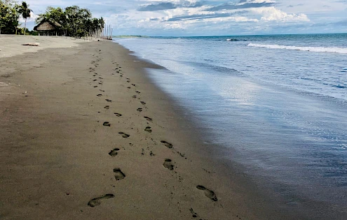 Bienes Raíces en Coco Beach en Puerto Armuelles Panamá