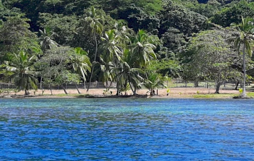 Puerto Lindo Lote frente al mar