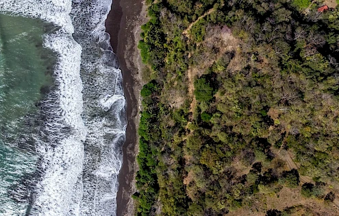 Titled Clifftop Beach Lot For Sale Next to Surf